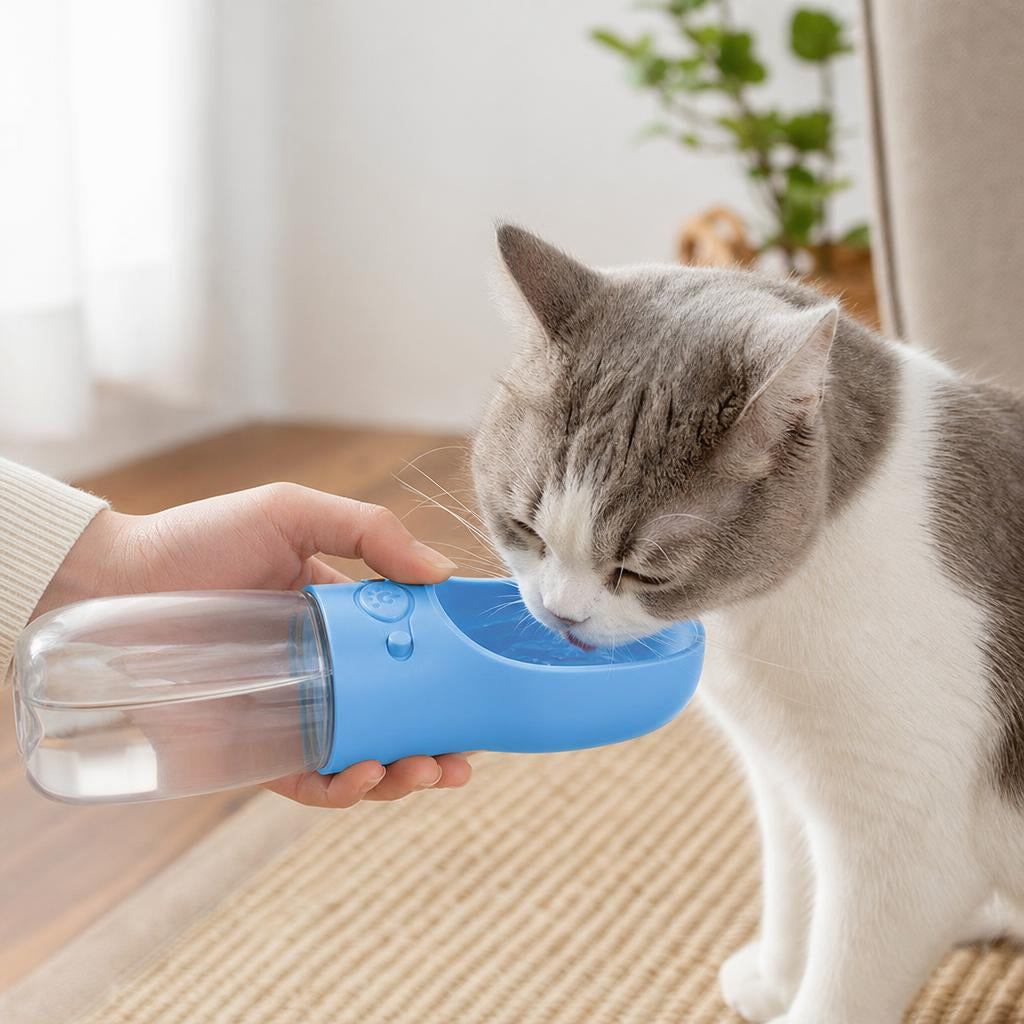 También para gatos